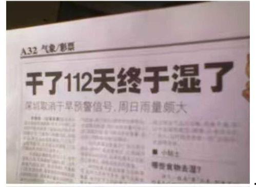 执法新闻爆料怎么写标题,深入剖析事件背后真相