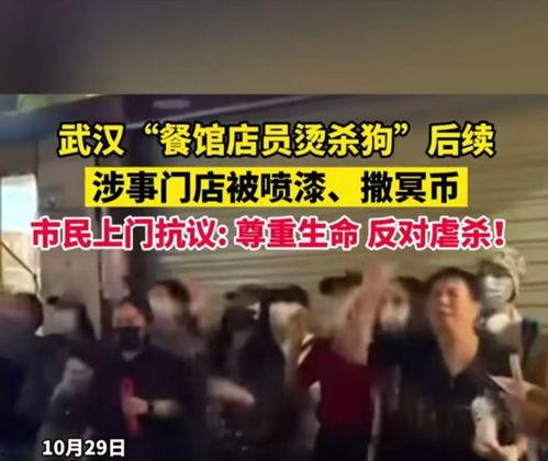 武汉爆料大全视频,揭秘城市生活百态