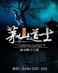 茅山道士在线观看,神秘传承，揭秘古法降魔传奇
