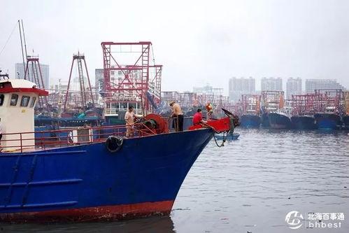 爆料渔船视频播放下载安装,下载安装过程全记录
