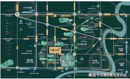 重庆酒窝爆料案件最新消息,真相逐步浮出水面