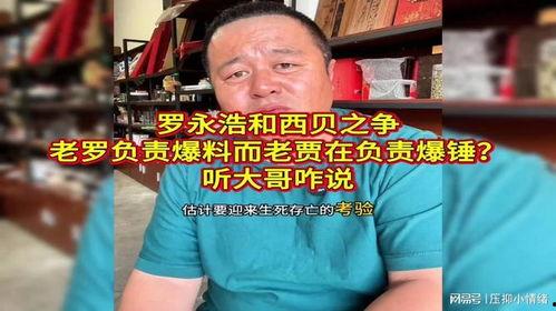 乐播老贾爆料新闻最新一期,揭秘娱乐圈幕后真相