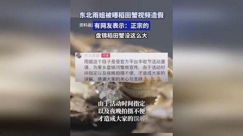 盘锦网友爆料视频大全集,揭秘生活百态，展现人间真情