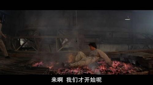 醉拳2在线观看,笑傲江湖，再战江湖