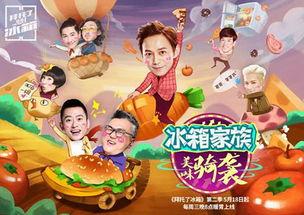 拜托了冰箱第二季在线观看,揭秘明星冰箱，畅享美食之旅