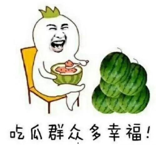 去哪吃瓜娱乐圈